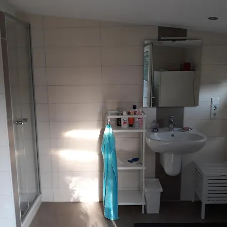 Dom wakacyjny Haus Birkenheim *