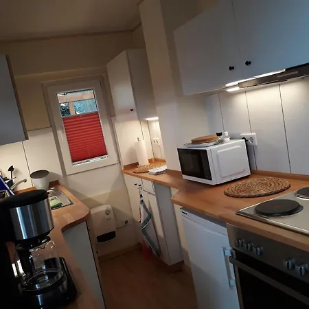 Haus Birkenheim Holiday home